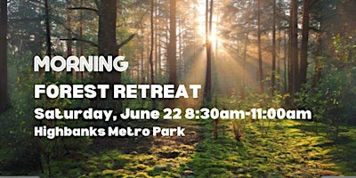 Morning Forest Retreat primary image