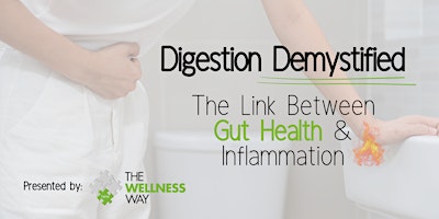Primaire afbeelding van Digestion Demystified: The Link Between Gut Health and Inflammation