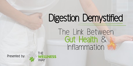 Digestion Demystified: The Link Between Gut Health and Inflammation