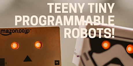 Teeny. Tiny, Programmable Robots primary image