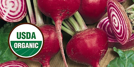Benefits of Beets with Natural Grocers primary image