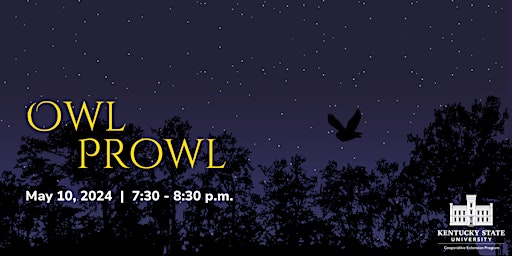 Hauptbild für Owl Prowl