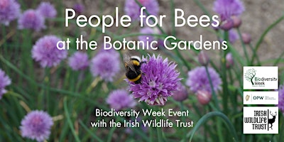 IWT People for Bees at the Botanic Gardens primary image