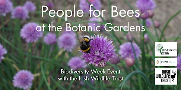 IWT People for Bees at the Botanic Gardens