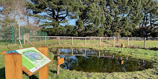 Primaire afbeelding van Pond Dipping at Watermans Park