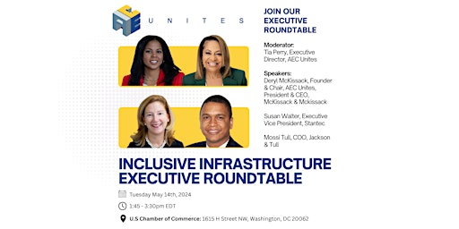 Primaire afbeelding van Inclusive Infrastructure Executive Roundtable