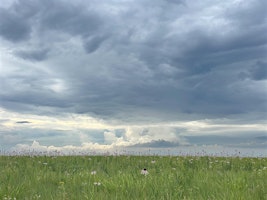 Primaire afbeelding van Guided Naturalist Walk - Paintbrush Prairie & Forever Prairie