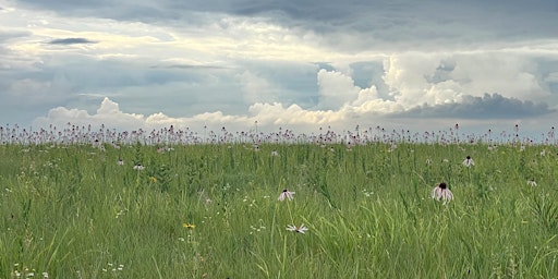 Hauptbild für Guided Naturalist Walk - Paintbrush Prairie & Forever Prairie