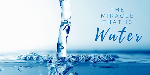 Imagem principal de Healing with Water Webinar!
