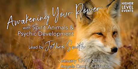 Awakening Your Power with Spirit Animals & Psychic Development (January) primary image