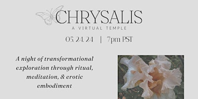 CHRYSALIS : a virtual temple primary image