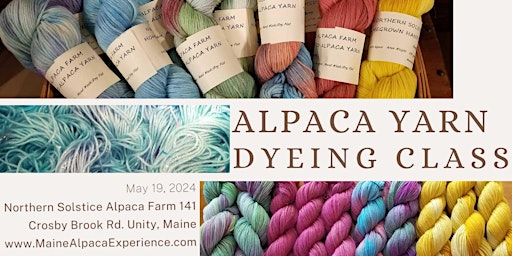 Imagem principal do evento DIY Alpaca Yarn Dyeing Class