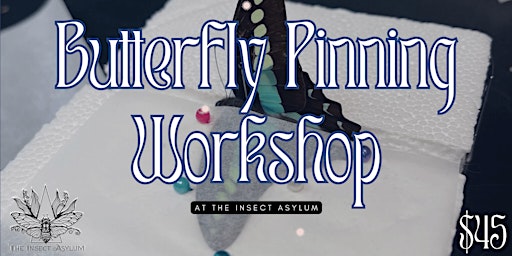 Imagem principal do evento Butterfly Pinning Workshop