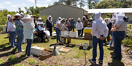 Intro to Beekeeping Workshop Series