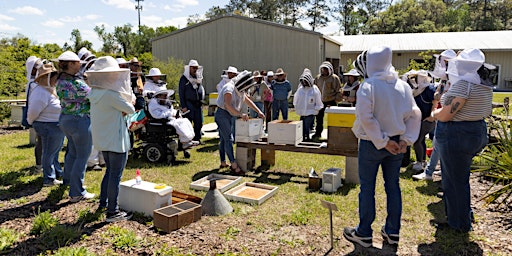 Intro to Beekeeping Workshop Series  primärbild