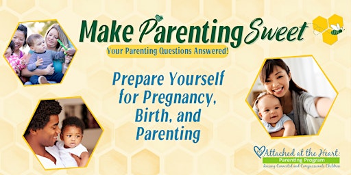 Imagen principal de Prepare Yourself for Pregnancy, Birth, and Parenting - LIVE Online Session
