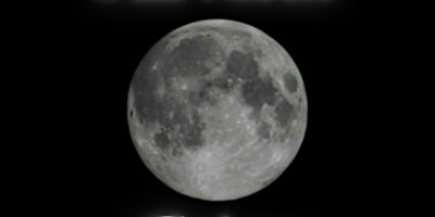 Immagine principale di Full Moon Circle 