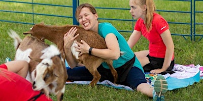 Imagem principal do evento Goat Yoga