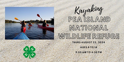 Primaire afbeelding van Kayaking Pea Island National Wildlife Refuge
