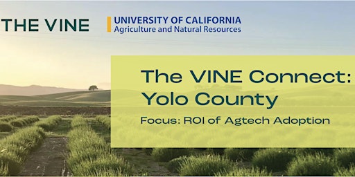 Imagem principal do evento The Vine Connect - YOLO County