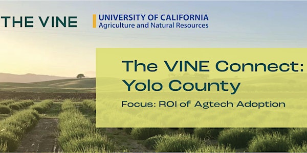The Vine Connect - YOLO County