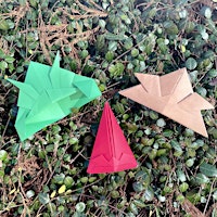 Origami at Evelyn's Park with Japan America Society of Houston  primärbild