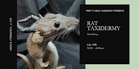 Rat Taxidermy Workshop