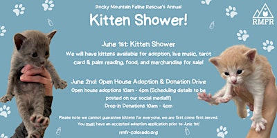 Hauptbild für RMFR's  Kitten Shower 2024
