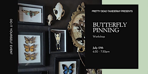 Butterfly Pinning Workshop  primärbild