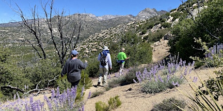 Spitler Peak Trail