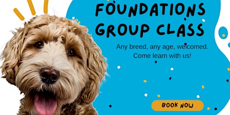 Obedience Dog Training Group Class