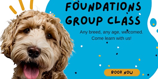 Hauptbild für Obedience Dog Training Group Class