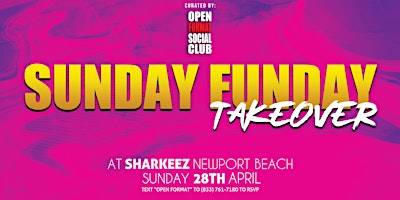 Primaire afbeelding van Sunday Funday Takeover - Curated by Open Format Social Club