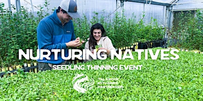 Hauptbild für Nurturing Natives Seedling Thinning