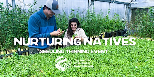 Primaire afbeelding van Nurturing Natives Seedling Thinning