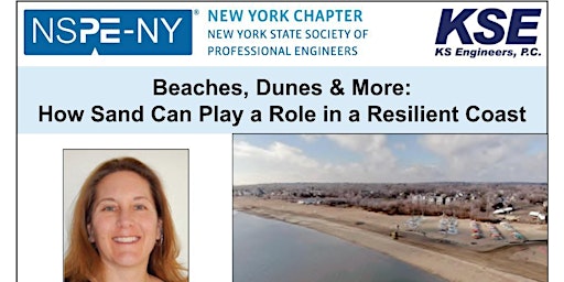 Imagen principal de Beaches. Dunes & More: How Sand can Play a Role in a Resiliency Coast