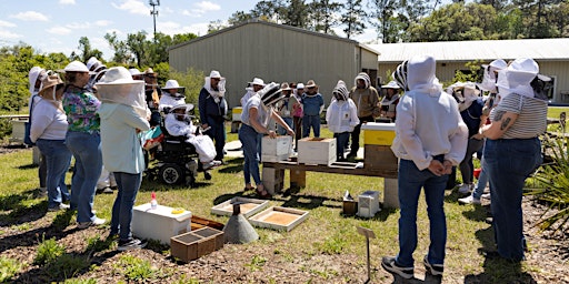 Hauptbild für Intro to Beekeeping Workshop Series