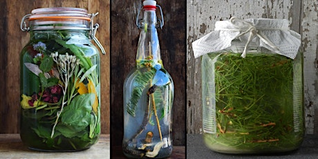 Foraging and making natural sodas using wild yeasts and local plants!