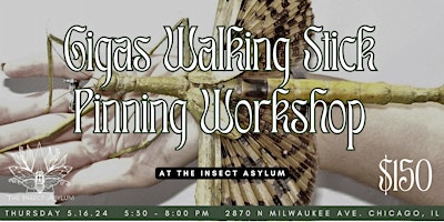Hauptbild für Gigas Walking Stick Pinning Class