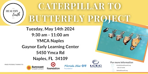 Primaire afbeelding van Caterpillar to Butterfly Project at YMCA Naples