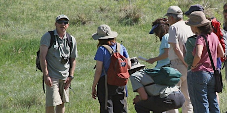 Hike with a Boulder Naturalist - Wildflower Bonanza!