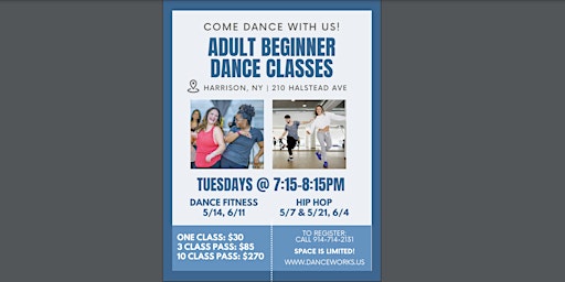 Dance Works FUN Beginner Classes for Adults primary image