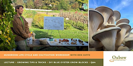 Mushroom Life Cycle and Cultivation Workshop