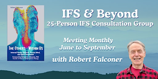 Imagen principal de IFS Consultation Group - 25-Members - Meets Monthly