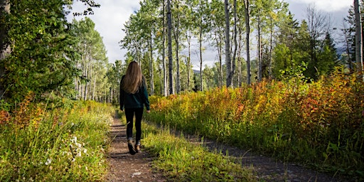 Hauptbild für Forest Meditation Walks