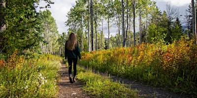 Forest Meditation Walks primary image