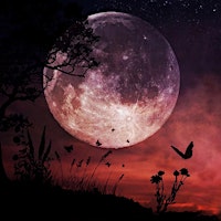 Imagem principal de Full Moon " Flower Moon" Sound Bath and chakra work mediatation