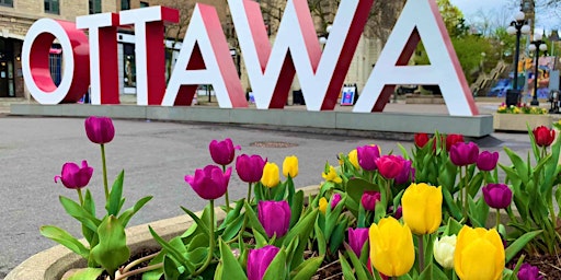 Hauptbild für Ottawa Tulips 2024
