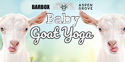 Imagem principal do evento Baby Goat Yoga - June 23rd  (ASPEN GROVE)