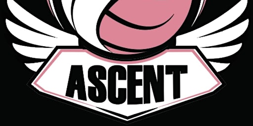 Ascent Volleyball Training primary image